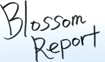 Blossom Report